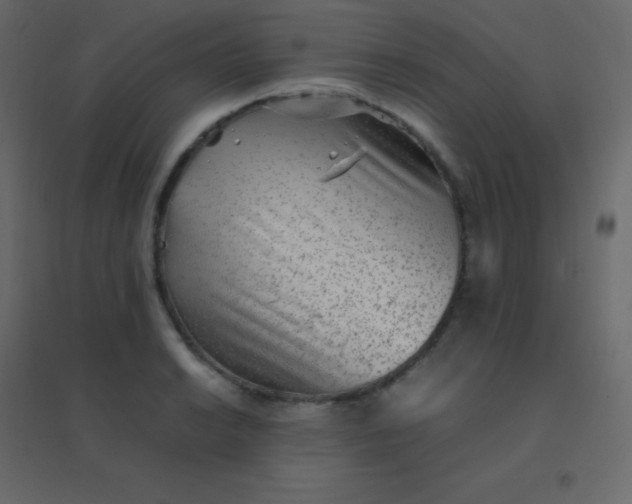 X0000094951038200712131618