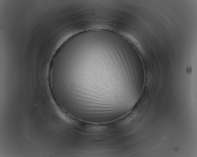 X0000094951039200712131618