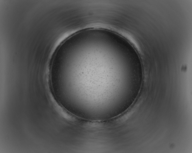 X0000094951040200712131618