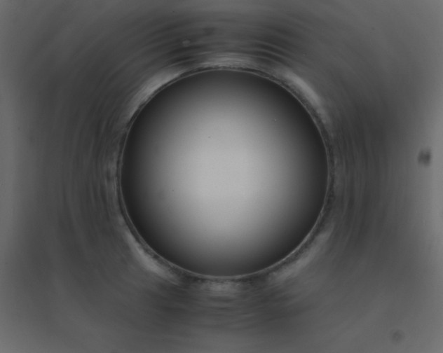 X0000094951041200712131618