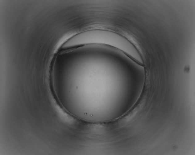 X0000094951042200712131618