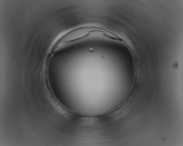 X0000094951044200712131618