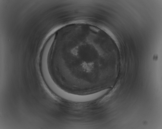 X0000094951045200712131618