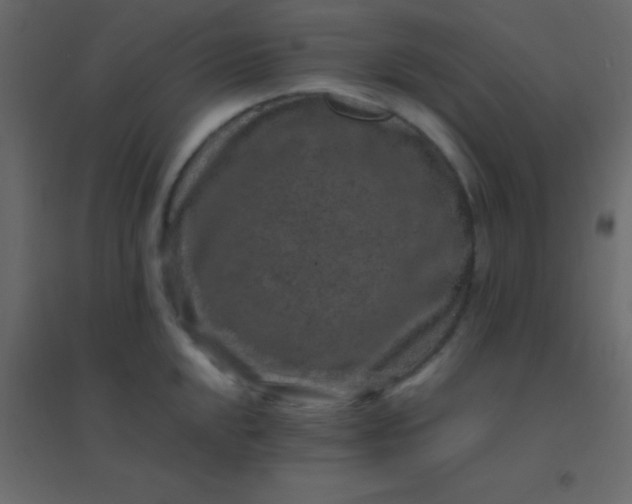 X0000094951048200712131618