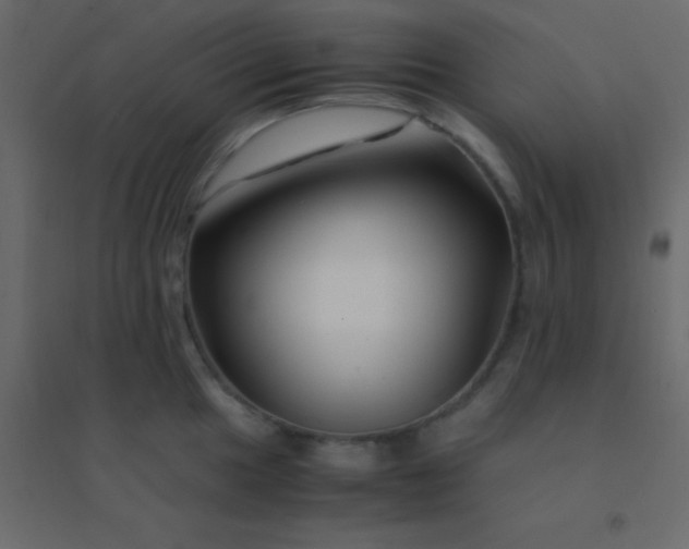 X0000094951049200712131618