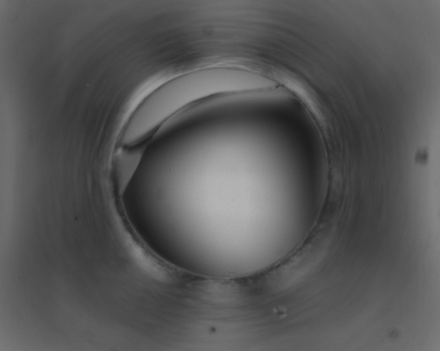 X0000094951050200712131618