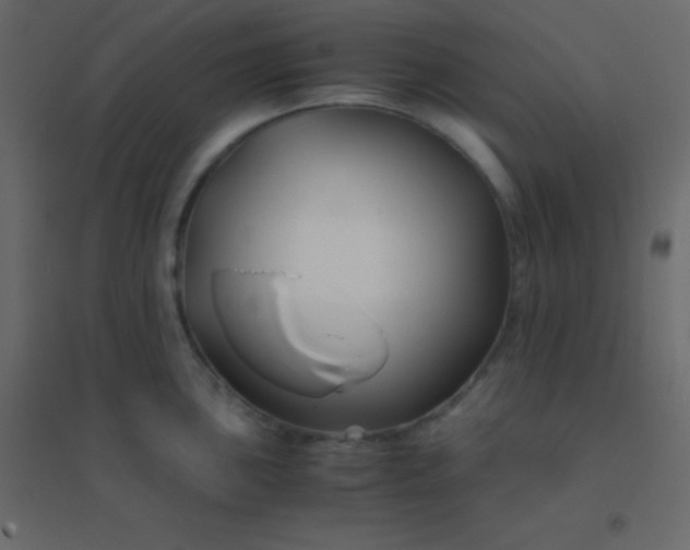 X0000094951051200712131618