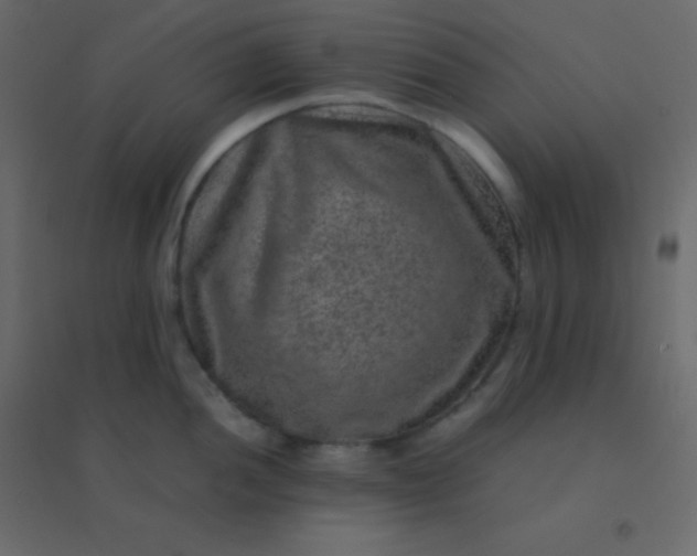 X0000094951052200712131618