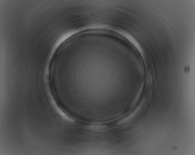 X0000094951053200712131618