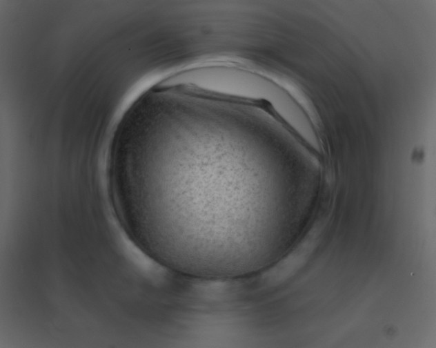 X0000094951054200712131618