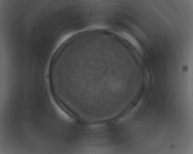 X0000094951055200712131618