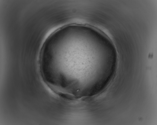 X0000094951056200712131618