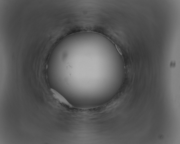 X0000094951057200712131617