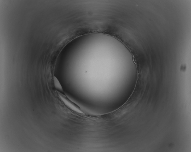 X0000094951058200712131617