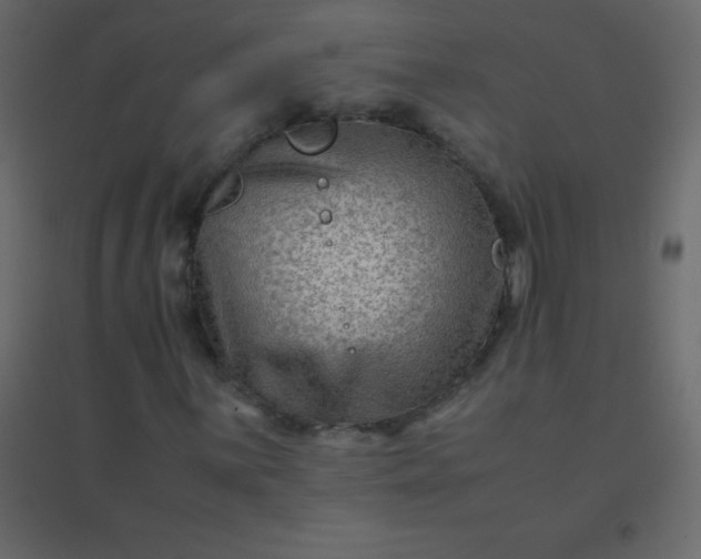 X0000094951059200712131617