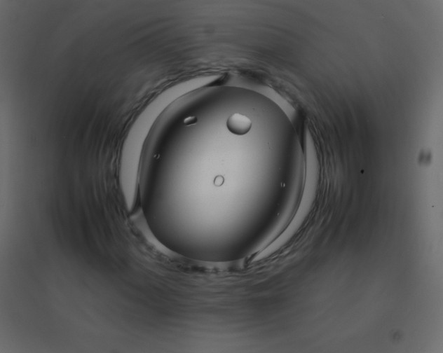 X0000094951060200712131617