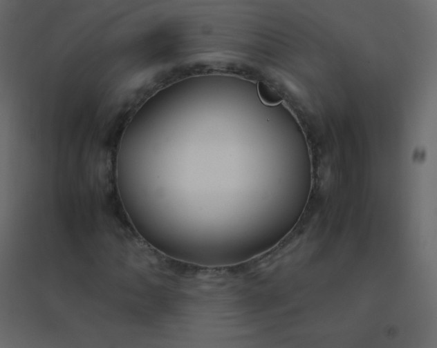 X0000094951062200712131617