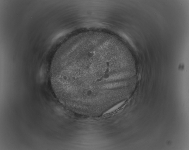 X0000094951063200712131617