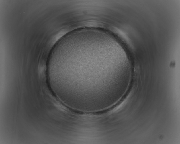 X0000094951065200712131617