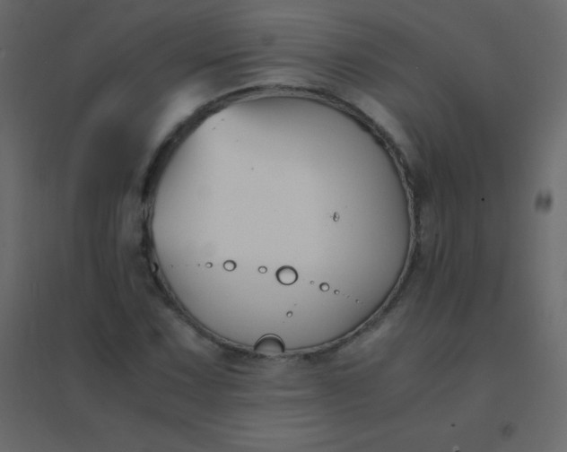 X0000094951067200712131617