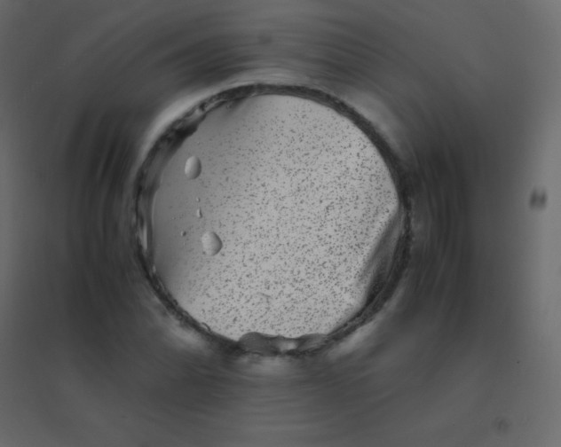 X0000094951070200712131617