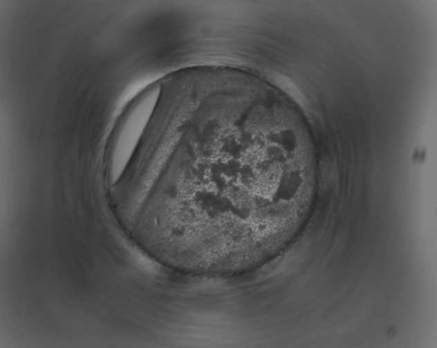 X0000094951071200712131617