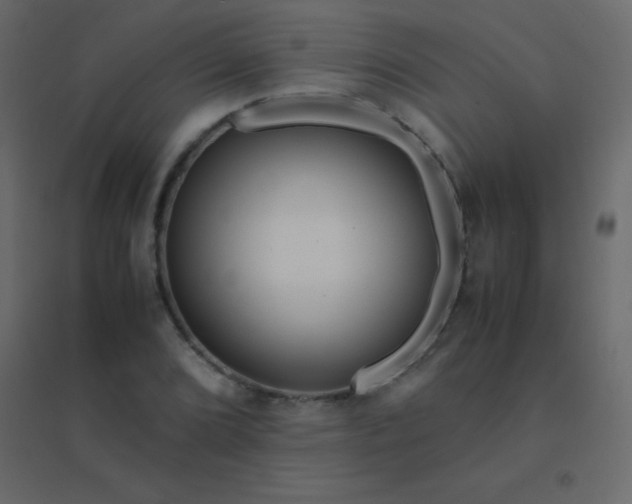 X0000094951072200712131617