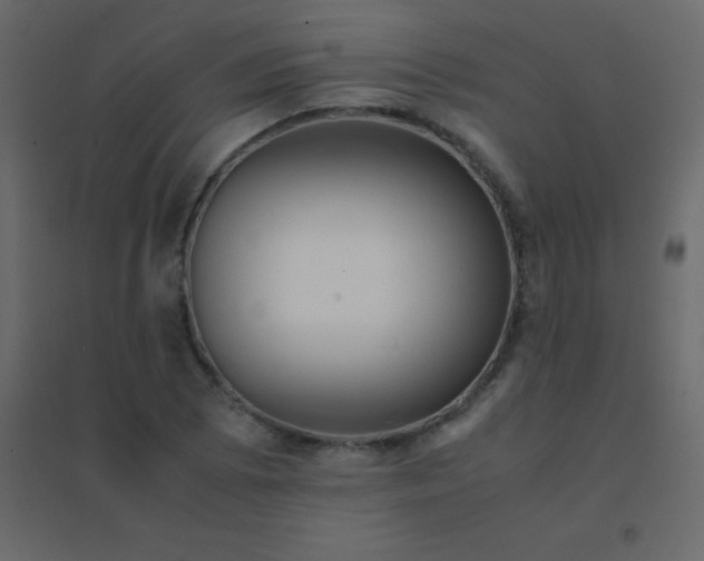 X0000094951073200712131617