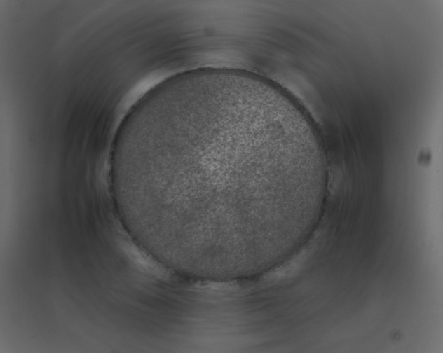 X0000094951074200712131617