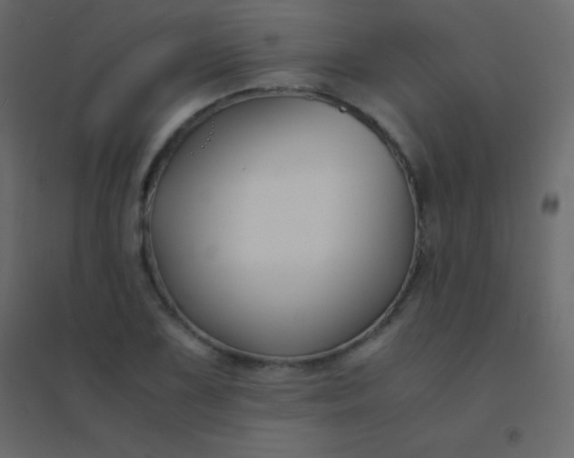 X0000094951075200712131617