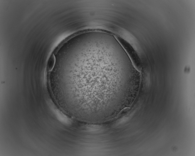 X0000094951076200712131617