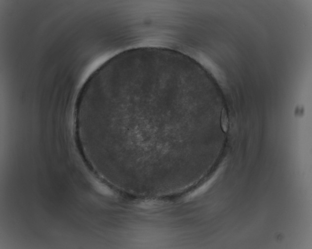 X0000094951077200712131617