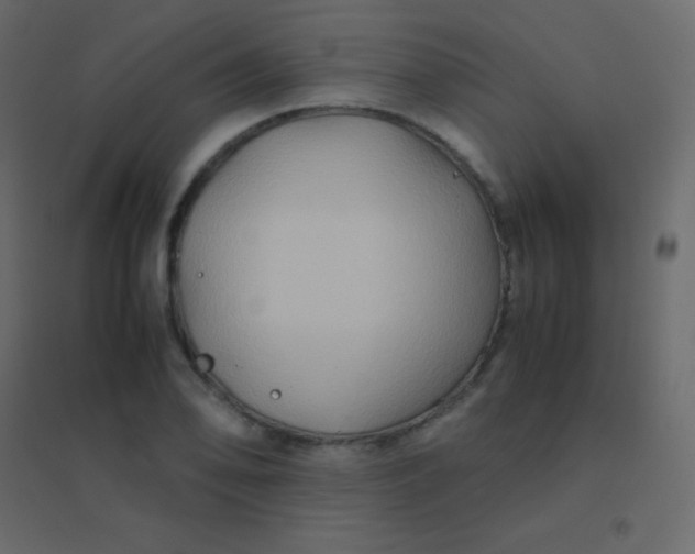 X0000094951078200712131617