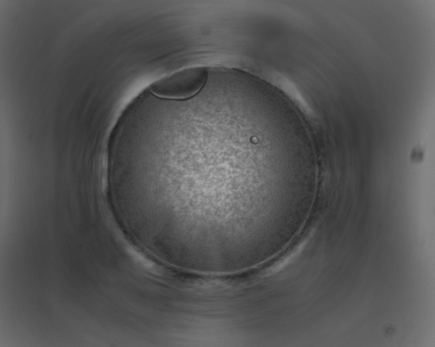 X0000094951079200712131617