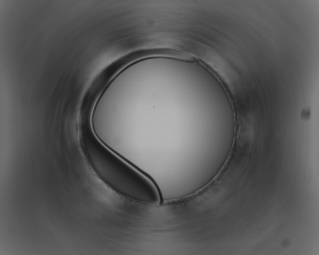 X0000094951080200712131617