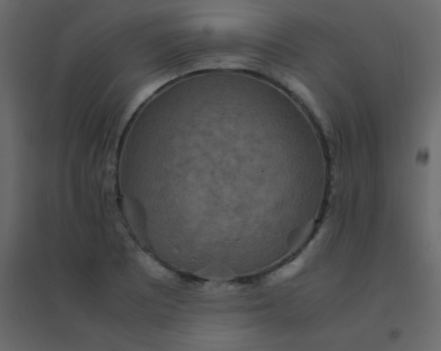 X0000094951081200712131617