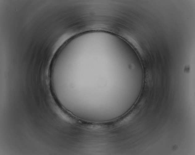 X0000094951082200712131617