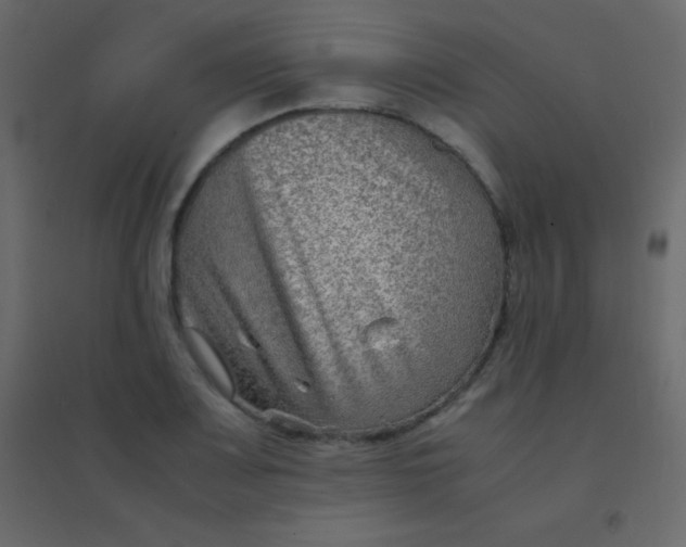 X0000094951083200712131617