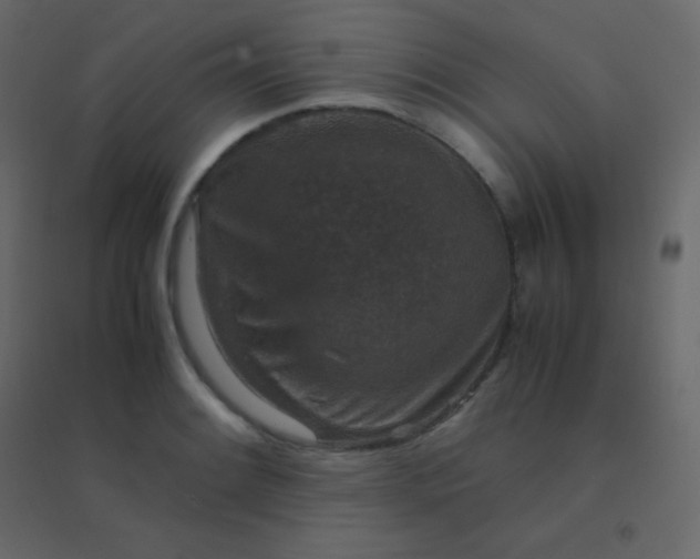 X0000094951084200712131617