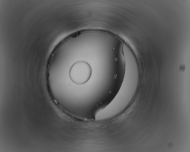 X0000094951085200712131617