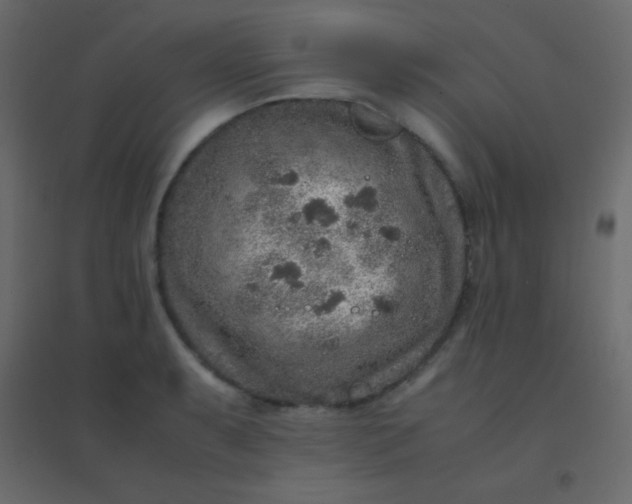 X0000094951087200712131617