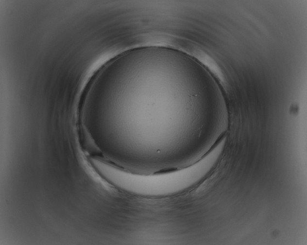 X0000094951088200712131617