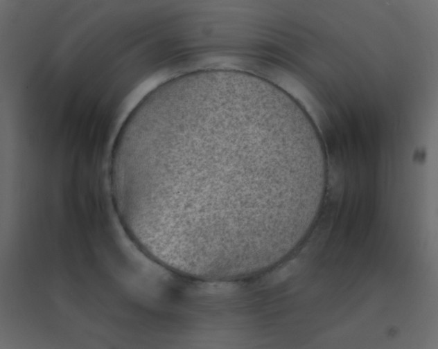 X0000094951090200712131617