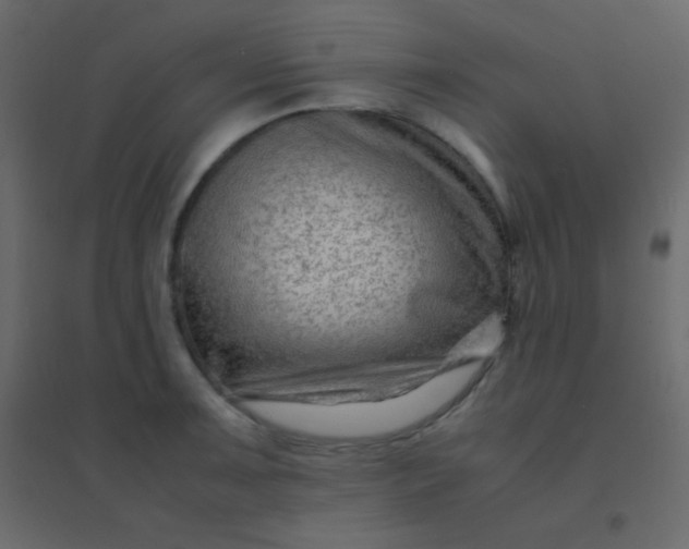 X0000094951091200712131617