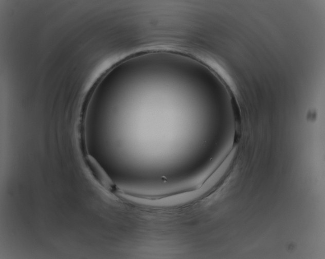 X0000094951093200712131617