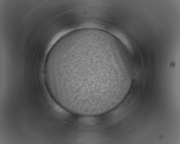 X0000094951094200712131617