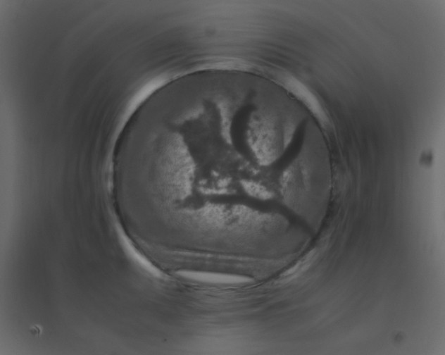 X0000094951095200712131617