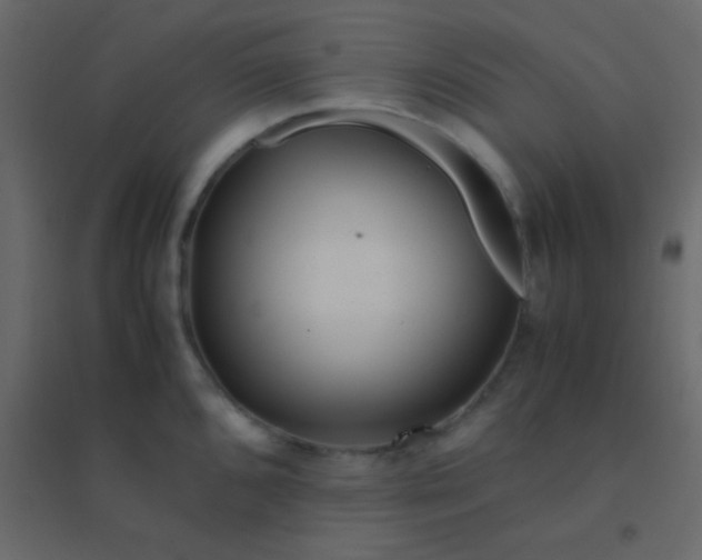 X0000094951096200712131617