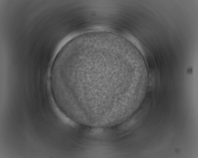 X0000094951098200712131617