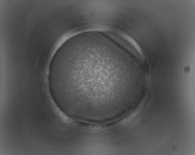 X0000094951099200712131617